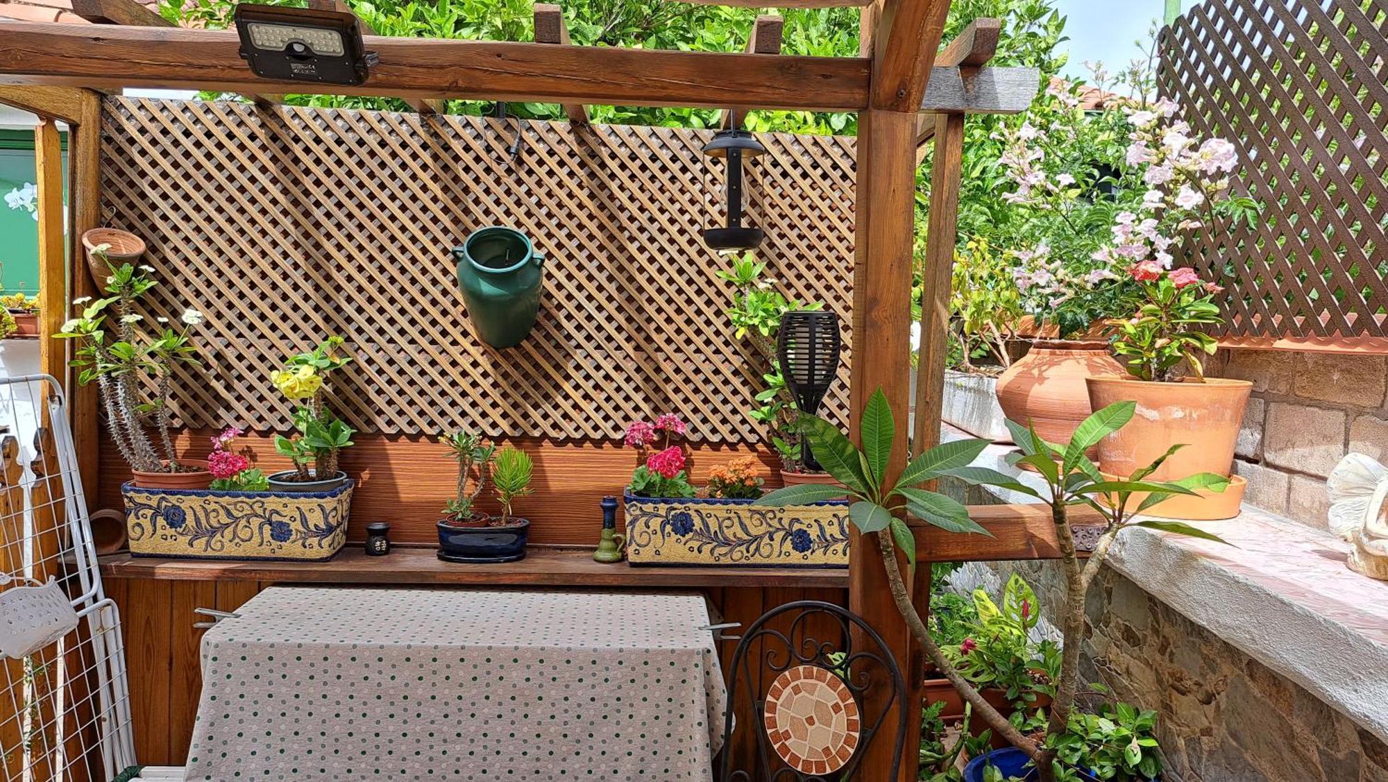 Casa Santana Segura Guest House Техеда Екстериор снимка