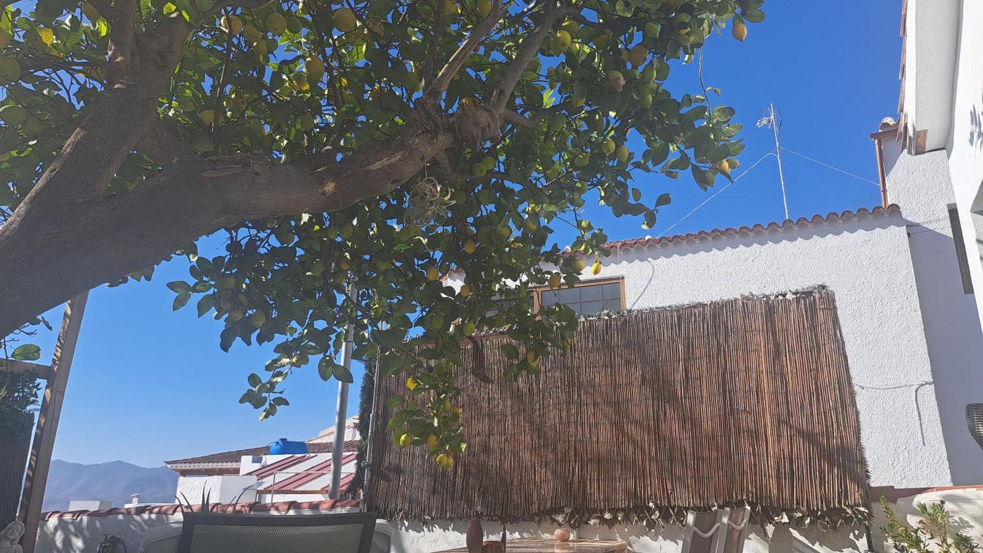 Casa Santana Segura Guest House Техеда Стая снимка