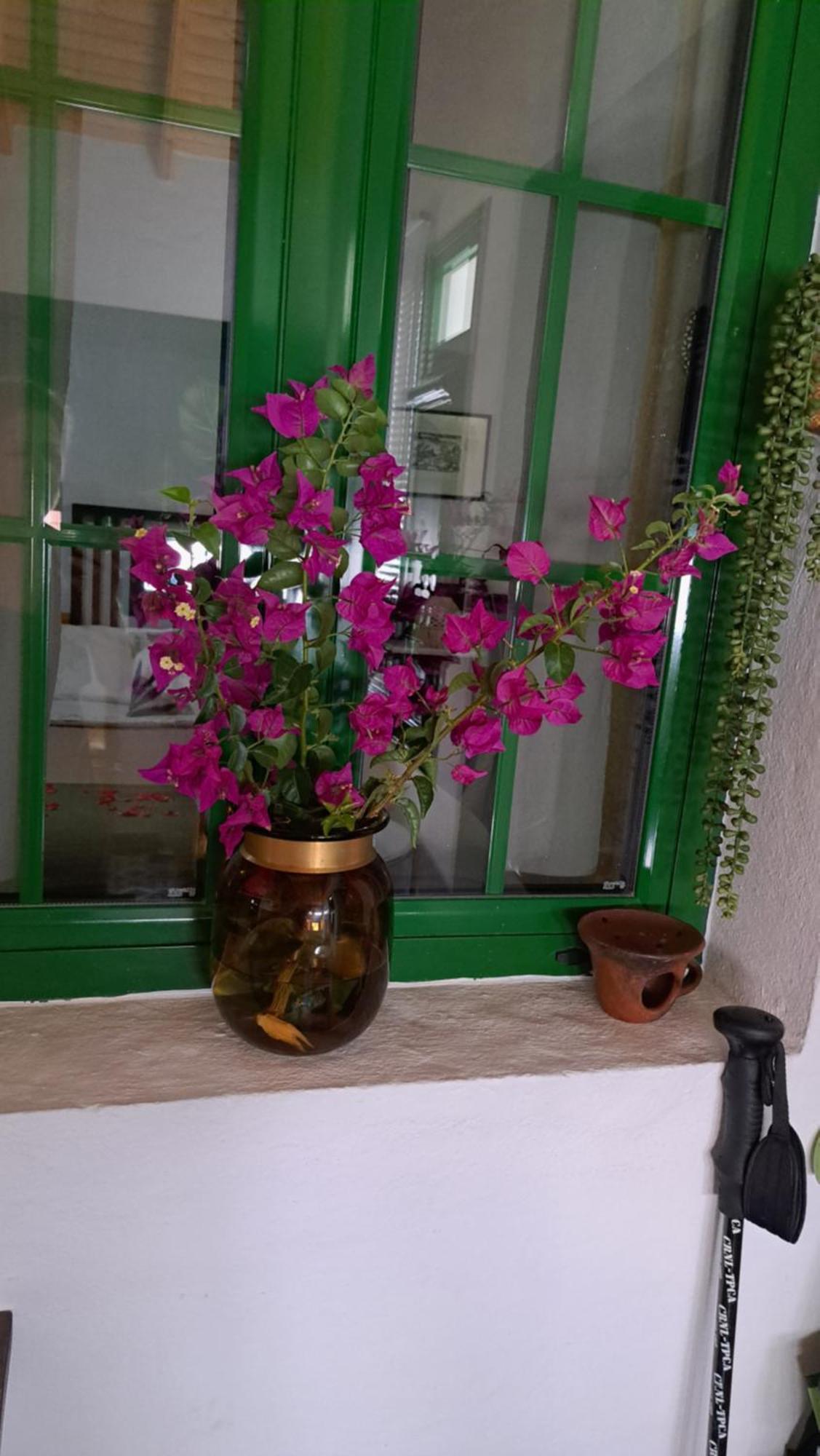Casa Santana Segura Guest House Техеда Стая снимка