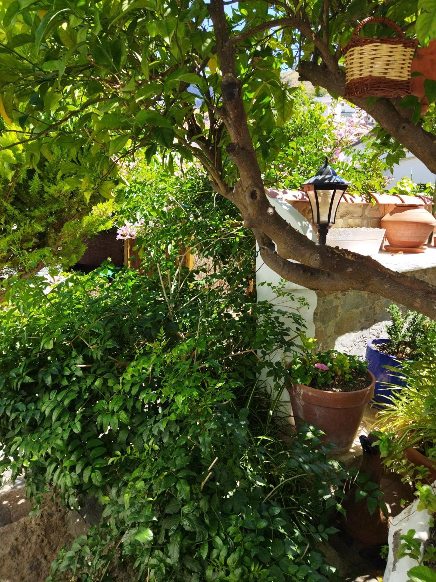 Casa Santana Segura Guest House Техеда Стая снимка