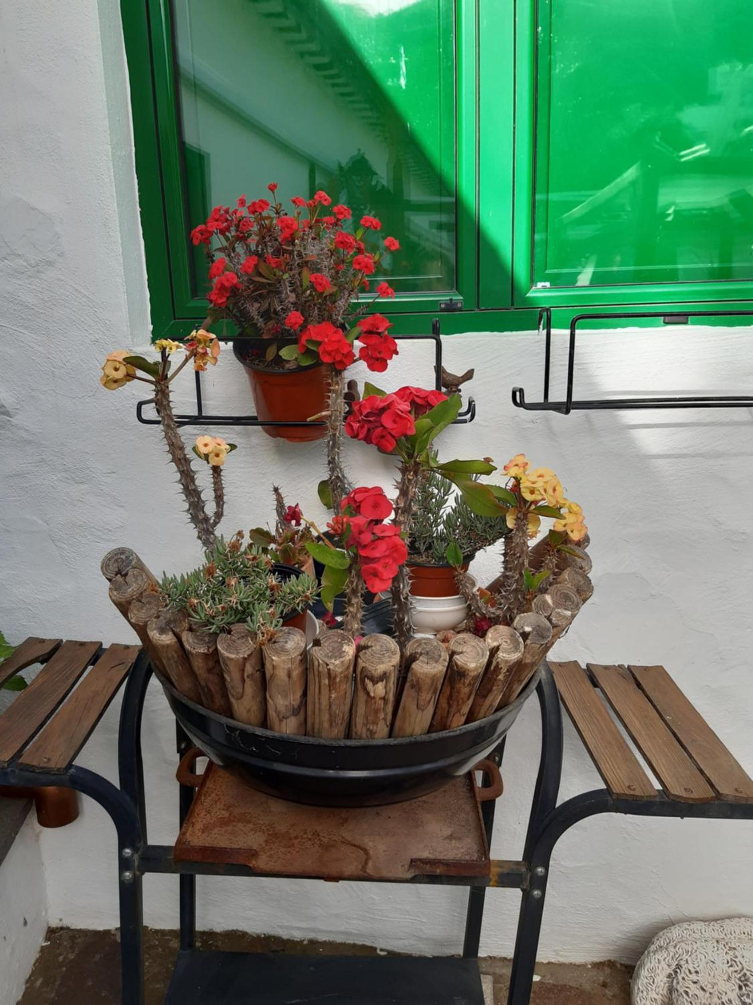 Casa Santana Segura Guest House Техеда Стая снимка