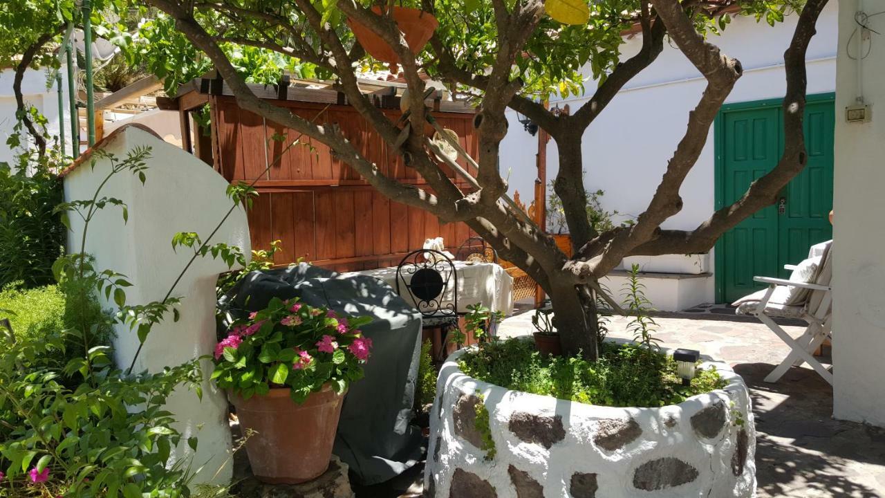 Casa Santana Segura Guest House Техеда Екстериор снимка